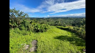 Drone View Bo Pozas San Sebastian Puerto Rico 00685 [upl. by Ainos]