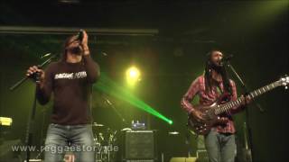 Raging Fyah  711  Ready For Love  Dash Wata  23102016  YAAM Berlin [upl. by Liebman]