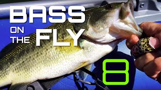 Bass on the Fly 8  Pesca com streamers ao Achigã [upl. by Ahsaet189]