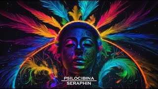 Pisilocibina  Seraphin Full album [upl. by Nica]