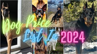 Dog price list in Kerala 2024 part1 നമ്മുടെ ഇഷ്ട്ട ബ്രീടുകളുടെ ഇപ്പോഴത്തെ വില  dog price  India [upl. by Torie]