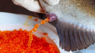 यह कैसे बना है और यह इतना महंगा क्यों है  How Caviar is Made And Why Its So Expensive [upl. by Rosabelle278]