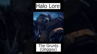 Grunts Explained  Unggoy  Halo Lore [upl. by Enrobso]