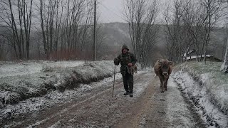 SATUL CU UN SINGUR LOCUITOR – Povestea lui nea Ionică ‖ Despre singurătate și durere ep1 [upl. by Notrem]