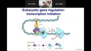 Webinar 12 Transcriptional and postranscriptional regulation of gene expression [upl. by Brenda605]