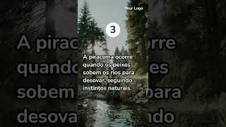 Os 5 Principais Aspectos da Piracema que Você Precisa Conhecer [upl. by Rudolf]