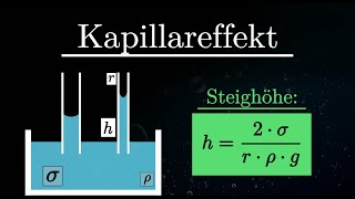 Kapillareffekt EINFACH erklärt  Kapillarität Experiment Oberflächenspannung Physik [upl. by Dlareme]