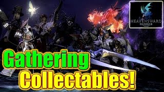 FFXIV Heavensward  Collectables amp Ephemeral Nodes  Gathering [upl. by Dollie]