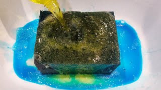 Ty d Bol and Dish Soap Request 💙 Sponges Squeezing 💛 ASMR [upl. by Ifill]