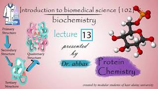 Biochemistry  Dr Abbas  Module 102  Lec 13 Protein Chemistry beginning of Enzymes [upl. by Enyawad153]