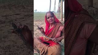 Nigahen Use hram khor ko Khoj rahi hai youtubeshorts fuunycomedy officalvideo shortvideo [upl. by Atsejam]