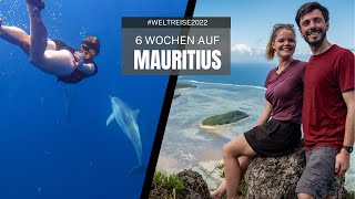 6 Wochen auf Mauritius Schnorcheln Wandern das Leben Genießen im Indischen Ozean [upl. by Tonry27]