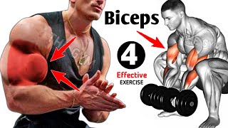 4 Best Long Head Biceps Exercises  Bicep Workout [upl. by Jeno]