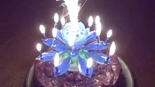 Most Amazing Birthday Candle Ever [upl. by Dianemarie356]