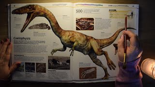 ASMR Dinosaurs Lots of Tracing Page Turning and Soft Reading [upl. by Primalia382]