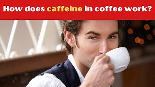 How does caffeine in coffee work [upl. by Harrow]