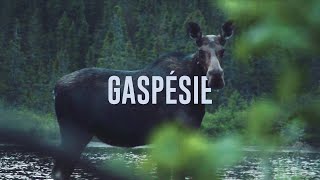 Gaspésie [upl. by Hume540]