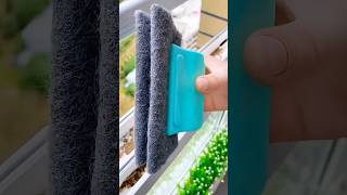 Window cleaner gadget 😱shorts viralvideo video [upl. by Power433]