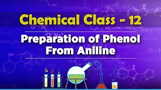 Preparation of Phenol From Aniline  Alcohols Phenols and Ethers  Chemistry Class 12 [upl. by Beaufert115]