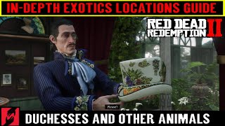 Red Dead Redemption 2 All Exotics Locations Guide  Duchesses and other Animals [upl. by Akcirderf]