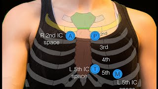 Sternal angle [upl. by Elli]