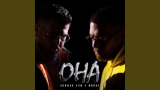 OHA Remix feat Luciano [upl. by Drews]