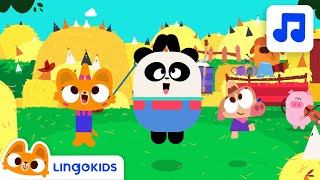 NUMBERS SONG 🎵 Learn the Numbers in English  Lingokids [upl. by Ayotas]