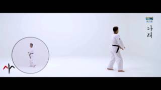 9th Taekwondo New Poomsae 나래 Narae for Age 50 60 Korean version [upl. by Tehcac895]