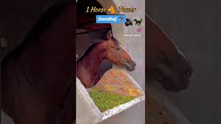 39 Horse 🐴 power swaraj735 swaraj tractorlover short farming tractorshorts youtubeshorts [upl. by Gnohp655]