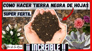 😱COMO HACER TIERRA NEGRA DE HOJAS🌱 SUPER FERTIL🌼 ORGANICA y muy facil  Gio de la Rosa [upl. by Wesley]