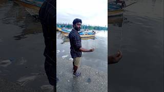 Unbelievable Big Fish Catch with 12 EMPTY Hooks fishing fishingvideos thoondilulagam seafishing [upl. by Walls]