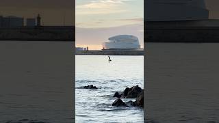 EFoil 4K Matosinhos Sunset matinhosbeach beach travel [upl. by Ojeitak]