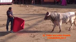 Toros vs Despacito San roman de los Montes 1382017 [upl. by Gristede]