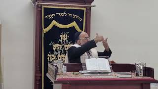 Hashanah Rabah Otzar Hatora Daily Halacha October 22 2024 [upl. by Antin]