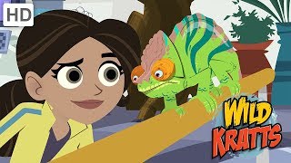 Wild Kratts  How to Protect Endangered Animal Species [upl. by Nywde]