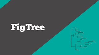 Bioinformatics FigTree  How to visualize phylogenetic trees  BioCode Ltd [upl. by Pacorro]