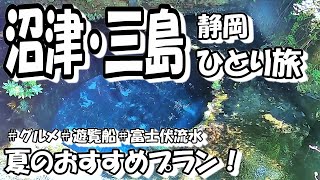 旬の旅沼津・三島ひとり旅。港町の沼津で海と海鮮グルメを満喫。午後は隣町、三島で火照った身体を富士山の伏流水でリフレッシュ！夏の観光おすすめプラン！ [upl. by Eveivenej]