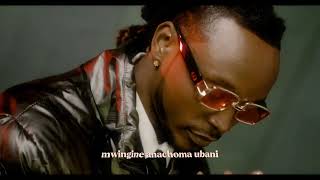 Barnaba  Nawaza Official Lyrics Video [upl. by Nref]