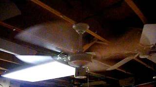 Evergo Ceiling Fan [upl. by Tarsuss]