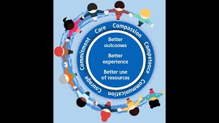 6Cs OF NURSING What are 6cs Purpose amp Importance of 6csWho Introduced 6csProfJane Cummings 6cs [upl. by Ardnasxela]