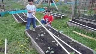 Drip Irrigation Sytem For Backyard Garden  Simple Gardening Ideas By Young Gardeners Aiman amp Hizami [upl. by Nnil]