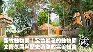 quot文青必訪！全台最放鬆的動物園——新竹動物園｜文青氛圍與歷史遺跡的完美結合quot，感受新竹動物園的慵懶氛圍｜覓境覓景系列｜探路者 [upl. by Naerb74]