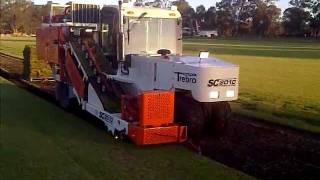 TREBRO SC2010 SLAB TURF SOD HARVESTER [upl. by Heigl]