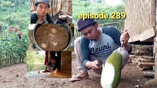 HIDUP DI HUTAN MEMASAK MAKANAN TRADISIONAL YANG LEZAT DARI BUAH NANGKA MUDA DAN TELUR [upl. by Euqinna]