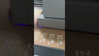 UV printing machine [upl. by Neirda765]