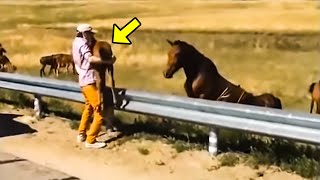 Man Returns Lost Baby Horse to Its Crying Mom What Happened Next Will Melt Your Heart [upl. by Lalittah877]