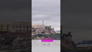 Was The Alcatraz Prison Really Inescapable truecrimeinvestigation truecrimestories alcatraz [upl. by Bakeman308]