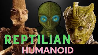 Shape Shifting Reptilian Among Human  Reptilian Humanoid [upl. by Kirred]