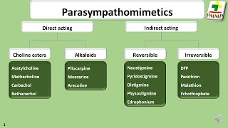 Parasympathomimetic drugs  General Pharmacology S313 [upl. by Larrisa]