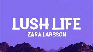 Zara Larsson  Lush Life Lyrics [upl. by Atiuqehs455]